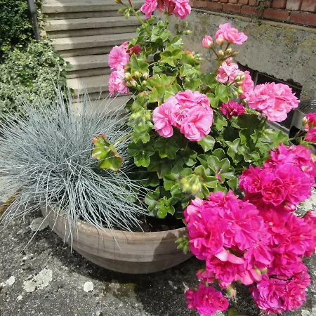 Reiterstuben Hoßkirch